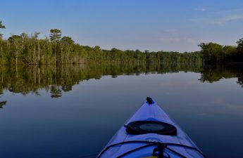 The Roxo Paz looking at a Waccamaw River, flat and smooth as glass on this beautiful summer morning with Red Marker 2, just to port.
06/01/09
Photo by  Charles Slate