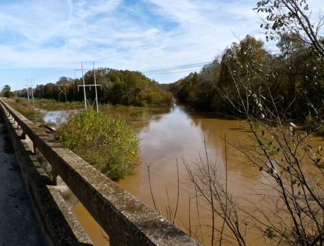 Bates Old River (Friends of Congaree Swamp)