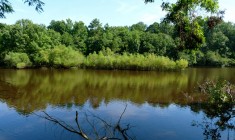 Bates Old River (Friends of Congaree Swamp)