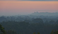 Congaree Bluffs (Friends of Congaree Swamp)