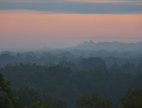Congaree Bluffs (Friends of Congaree Swamp)