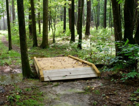 Congaree National Park Bluff Trail (Friends of Congaree Swamp)