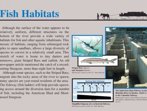River Panels 5-6