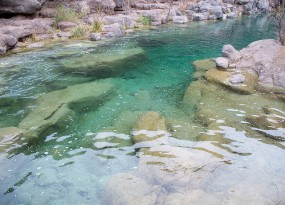 Fossil Creek - Darren Williams