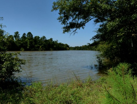 McCord's Ferry (Friends of Congaree Swamp)