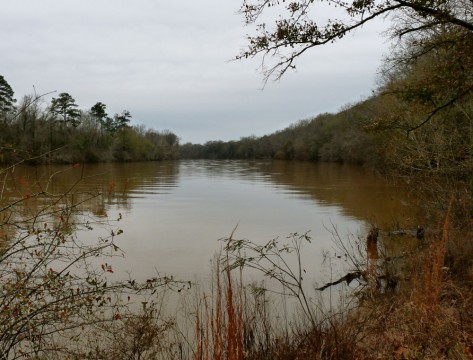 McCord's Ferry (Friends of Congaree Swamp)