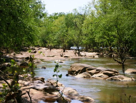 Riverfront Park (The River Alliance)