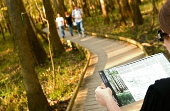 Congaree-National-Park