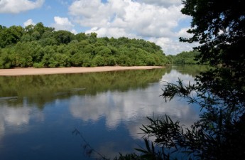 Congaree River sandbar | Steven McNamara