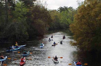 Paddling Ashley River - Dorchester State Park, NC | Ashley Chapman