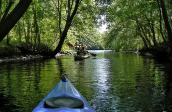 Waccamaw River Blue Trail, SC | Charles Slate