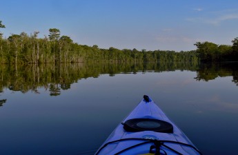 Waccamaw River Blue Trail, SC | Charles Slate