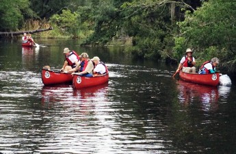 Ashley River Sweep | Bob Jackson