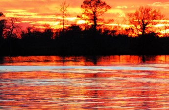 Gator Bait Adventures- Chris Ochsenbein