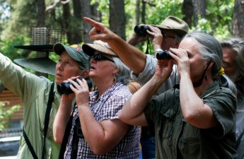 032415--Birding-Dena-Debbie-Wendy-Dennis-Randy--WendyHarford