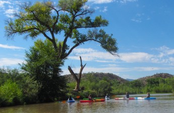 Verde float - Doug Von Gausig