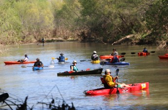 VRRO - Mens Single Kayak Division Lining Up