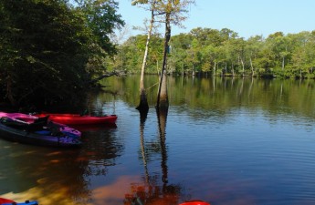 redkayaks_cred_GatorBaitAdventureTours