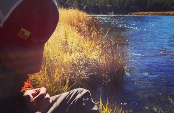 madison river, wy - Yellowstone National Park, Fay Augustyn