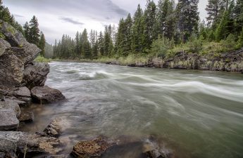 blackfoot river_BLM