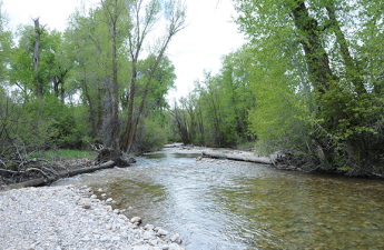 Friends of the Teton