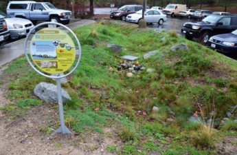 011216-This-raingarden-catches-stormwater-from-a-large-parking-lot-in-Nevada-City-CA-and-sinks-it-into-the-ground-JacobDyste-500x331