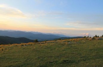 Credit - Carolina Mountain Land Conservancy